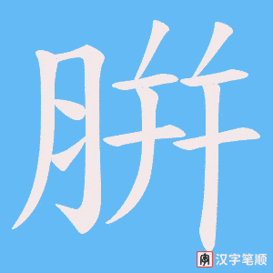 腁字笔顺动画
