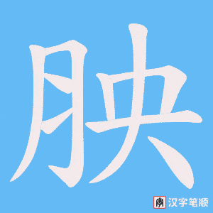 胦字笔顺动画