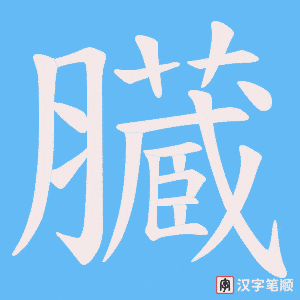 臓字笔顺动画